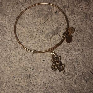 alex and ani monkey bracelet